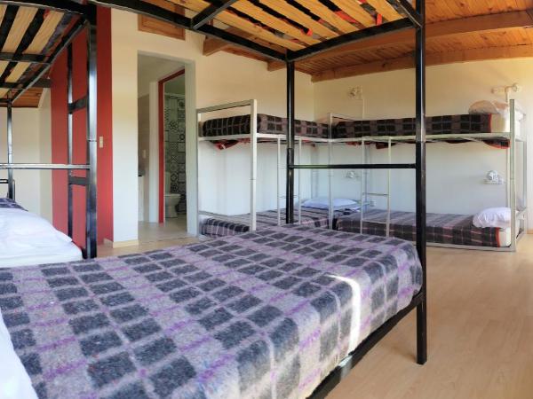 Red House Hostel : photo 4 de la chambre lit dans dortoir mixte de 8 lits 
