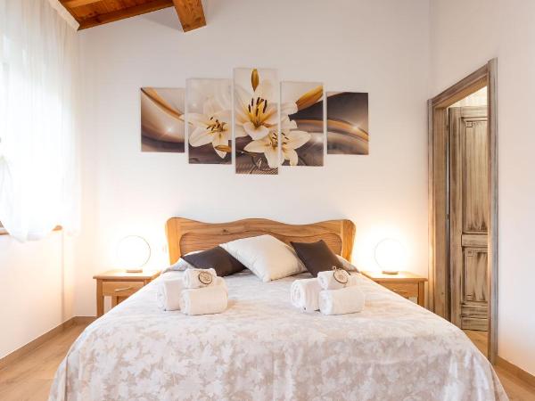 Agriturismo Ai Dossi : photo 8 de la chambre chambre double - vue sur jardin