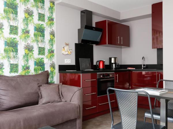 Hotel Le Dauphin : photo 3 de la chambre appartement 2 chambres