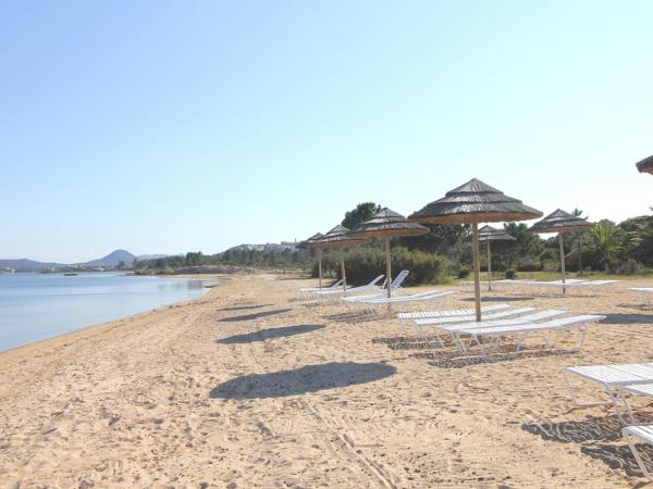 Résidence Paese Serenu : photo 3 de la chambre appartement 1 chambre avec mezzanine