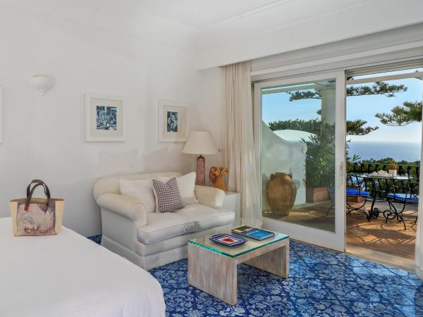 Hotel La Minerva : photo 8 de la chambre chambre deluxe double ou lits jumeaux