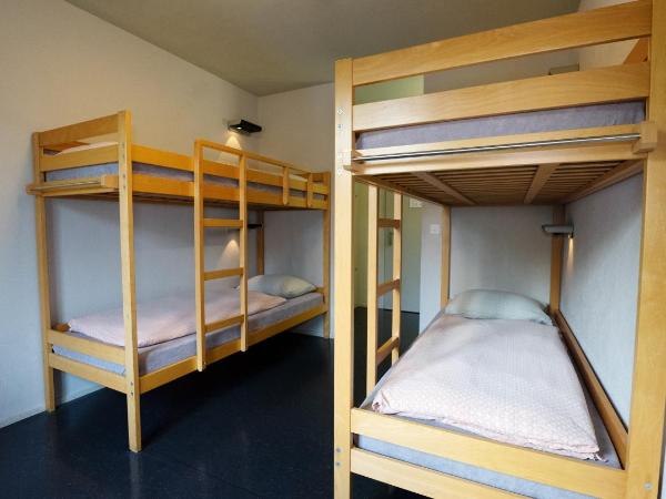 Zermatt Youth Hostel : photo 1 de la chambre lit simple dans chambre quadruple