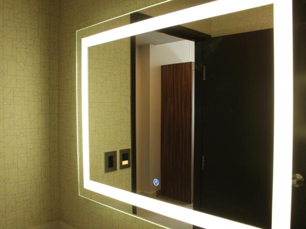 Holiday Inn Express - Monterrey - Fundidora, an IHG Hotel : photo 5 de la chambre chambre double standard avec 2 lits doubles