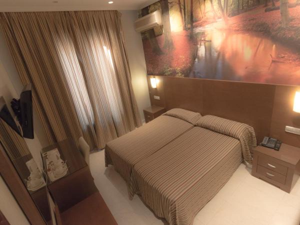 Hostal Atocha Almudena Martín : photo 1 de la chambre chambre lits jumeaux