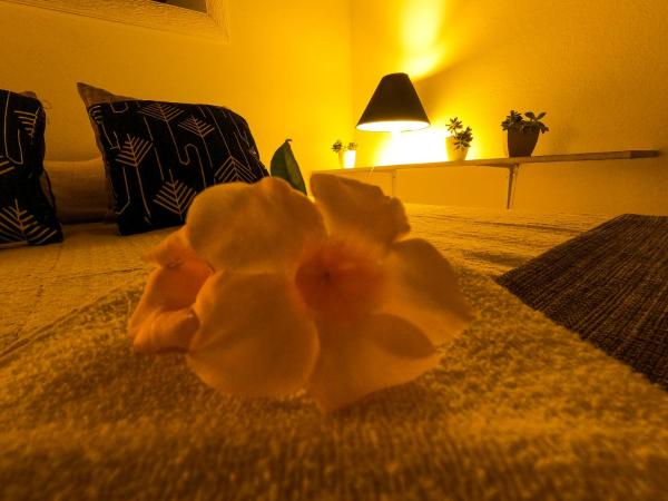Amazonia Casa Hostal : photo 4 de la chambre chambre lit queen-size deluxe