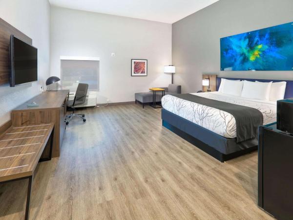 La Quinta Inn & Suites by Wyndham Dallas/Fairpark : photo 2 de la chambre chambre lit king-size deluxe - non-fumeurs 