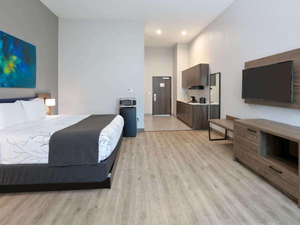 La Quinta Inn & Suites by Wyndham Dallas/Fairpark : photo 4 de la chambre chambre lit king-size deluxe - non-fumeurs 