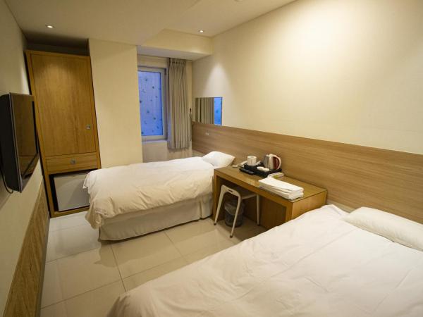 Hotel Irene City : photo 1 de la chambre chambre lits jumeaux - vue sur ville