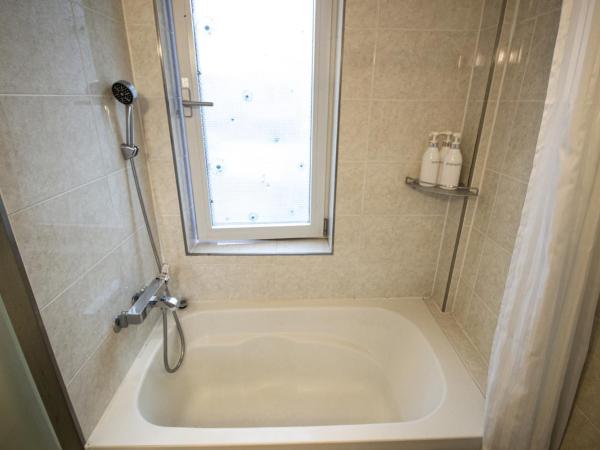 Hotel Irene City : photo 7 de la chambre chambre double sans fenêtre