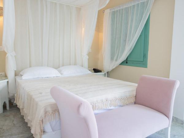 Dar Hammamet Guest House & Hammam : photo 3 de la chambre chambre double deluxe avec douche