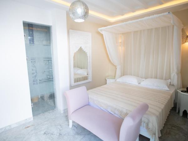 Dar Hammamet Guest House & Hammam : photo 6 de la chambre chambre double deluxe avec douche