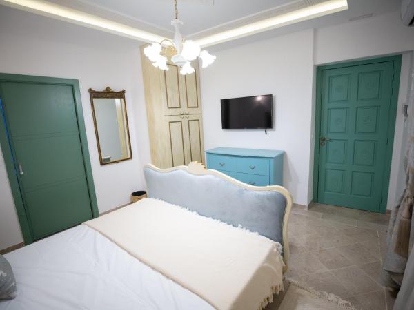 Dar Hammamet Guest House & Hammam : photo 3 de la chambre chambre double deluxe avec douche