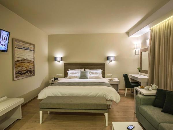 Swell Boutique Hotel : photo 3 de la chambre chambre standard avec vue sur la ville