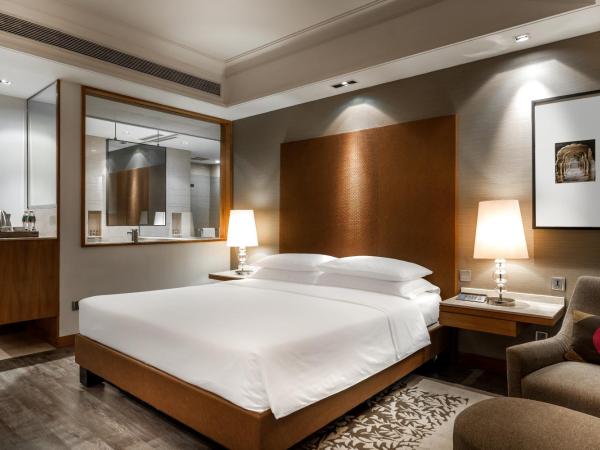 Hyatt Ahmedabad : photo 3 de la chambre chambre lit king-size avec accès au club - vue sur ville