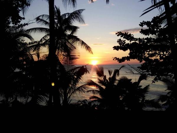 Paradise Palms : photo 2 de la chambre bungalow - côté plage