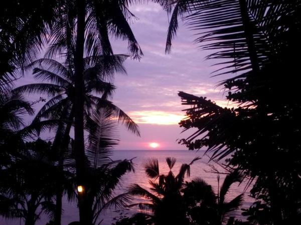Paradise Palms : photo 9 de la chambre bungalow - côté plage