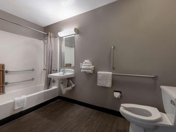 Motel 6-San Antonio, TX - West SeaWorld : photo 1 de la chambre chambre double - accessible aux personnes à mobilité réduite - douche accessible en fauteuil roulant