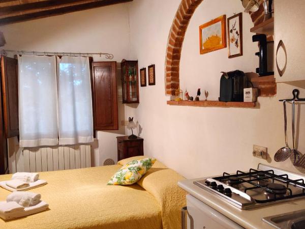 Agriturismo Borgo Villa Certano : photo 7 de la chambre studio avec vue sur jardin