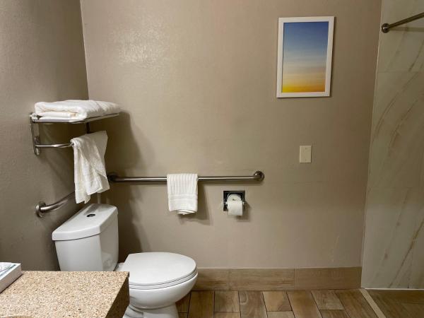 Clarion Pointe Atlanta Airport College Park : photo 6 de la chambre chambre lit king-size - accessible aux personnes à mobilité réduite - non-fumeurs