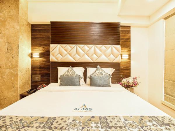 Hotel Auris & Banquets, Mumbai International Airport : photo 6 de la chambre chambre double ou lits jumeaux