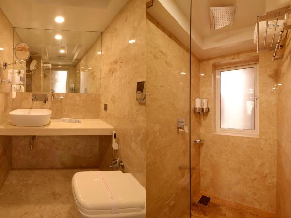 Hotel Auris & Banquets, Mumbai International Airport : photo 3 de la chambre chambre double ou lits jumeaux