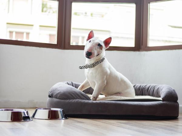 Casual Raízes Porto : photo 7 de la chambre chambre simple - vue sur jardin