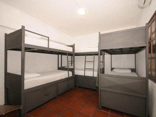 Che Lagarto Hostel Búzios : photo 2 de la chambre lit dans dortoir mixte de 6 lits