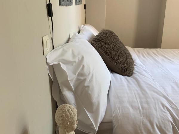 Hotel Du Parlement : photo 3 de la chambre chambre double Économique