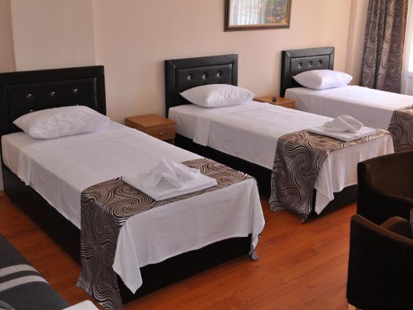 Emsa Otel Maltepedeki Eviniz : photo 5 de la chambre chambre quadruple standard avec balcon