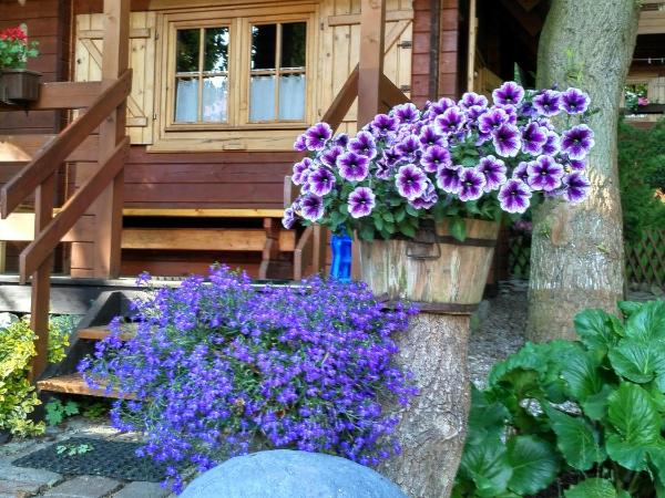 Chatki Saturnina i pokoje : photo 2 de la chambre chalet supérieur