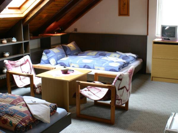 Pension U Vlášků : photo 1 de la chambre chambre quadruple