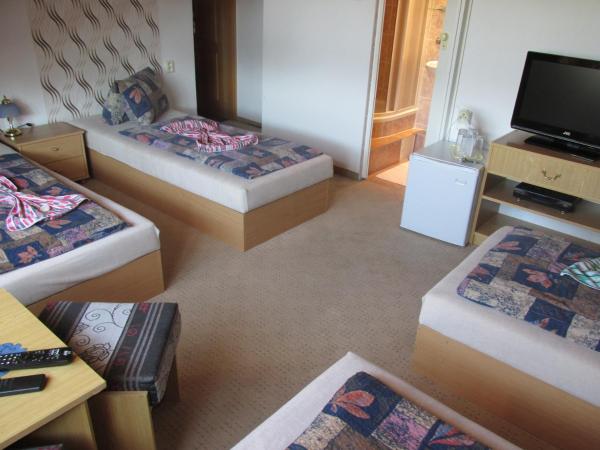 Pension U Vlášků : photo 4 de la chambre chambre quadruple