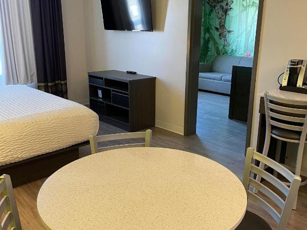 Super 8 by Wyndham Winnipeg East MB : photo 8 de la chambre one-bedroom efficiency king room - jungle theme/non-smoking