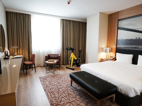 TRYP by Wyndham Istanbul Basın Ekspres : photo 2 de la chambre chambre lit queen-size avec salle de sport - non-fumeurs