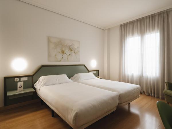 Hotel Urdanibia Park : photo 1 de la chambre chambre double