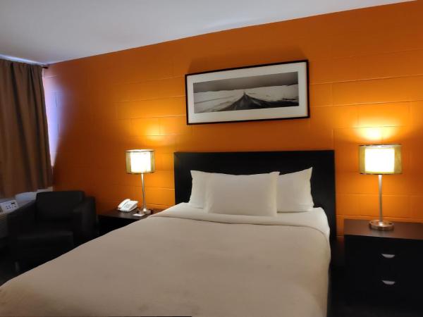 Roadking Inns Motel : photo 6 de la chambre chambre standard lit queen-size - animaux domestiques acceptés