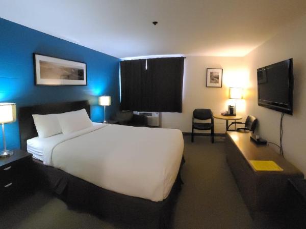 Roadking Inns Motel : photo 4 de la chambre chambre lit queen-size - animaux domestiques non admis