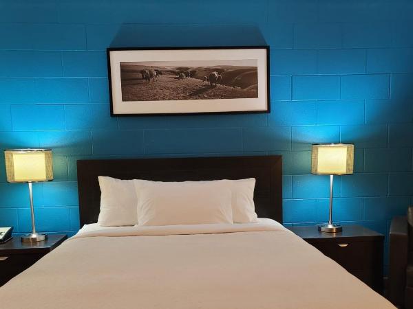 Roadking Inns Motel : photo 3 de la chambre chambre standard lit queen-size - animaux domestiques acceptés