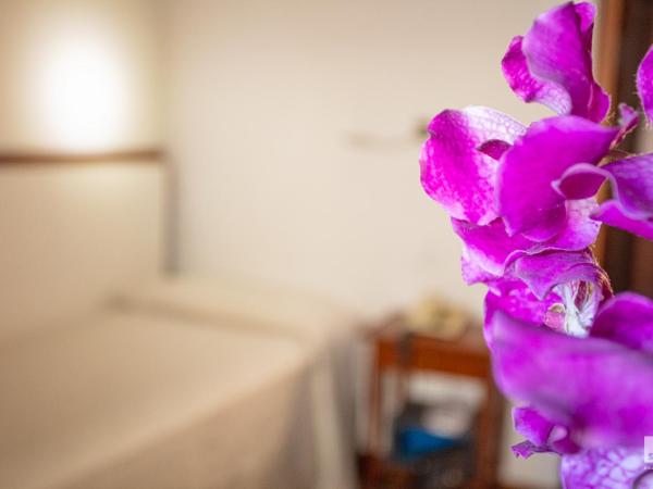 Hotel Blumen : photo 8 de la chambre chambre simple