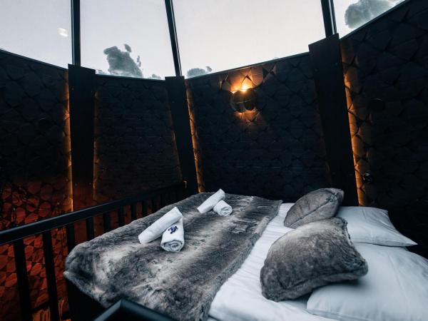 Apukka Resort : photo 2 de la chambre suite igloo vitrée kammi