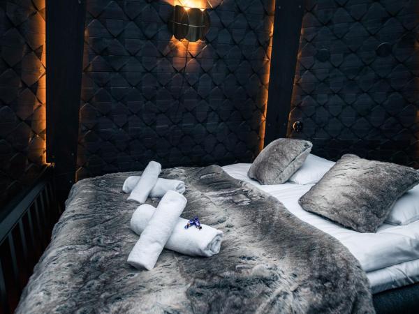 Apukka Resort : photo 8 de la chambre suite igloo vitrée kammi