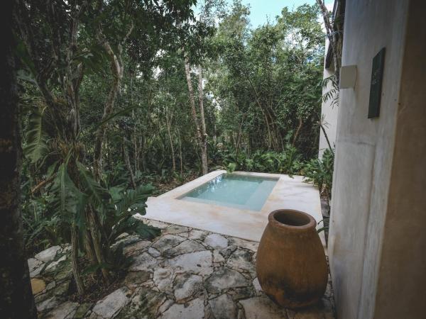 Wakax Hacienda - Cenote & Boutique Hotel : photo 3 de la chambre villa principale 2 chambres avec petite piscine