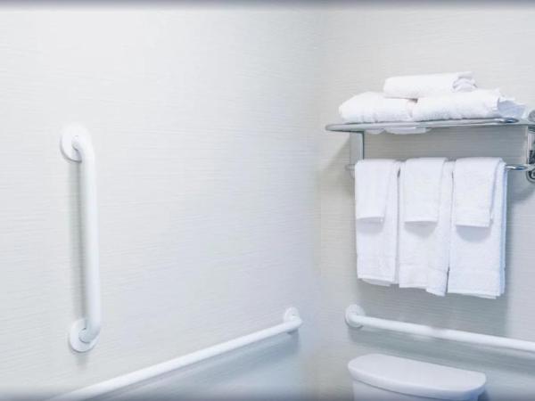 Staybridge Suites Denver Downtown, an IHG Hotel : photo 5 de la chambre studio king suite with accessible roll in shower - non-smoking