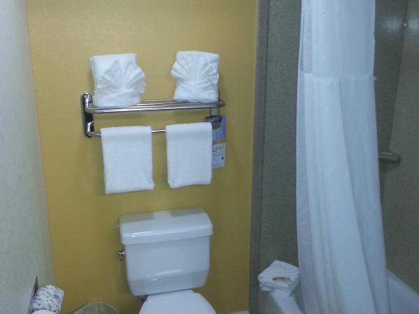 Quality Inn & Suites Near the Theme Parks : photo 4 de la chambre chambre lit king-size