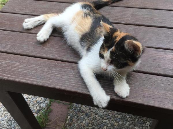 Hotel Baylan Basmane : photo 10 de la chambre chambre double standard