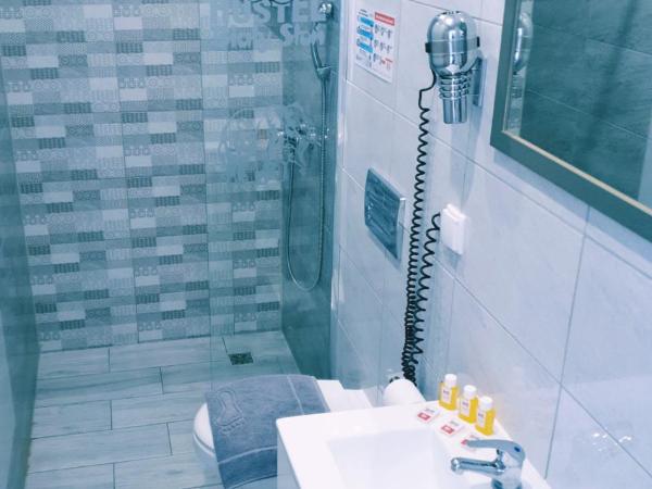 Biały Słoń : photo 4 de la chambre chambre triple avec salle de bains privative