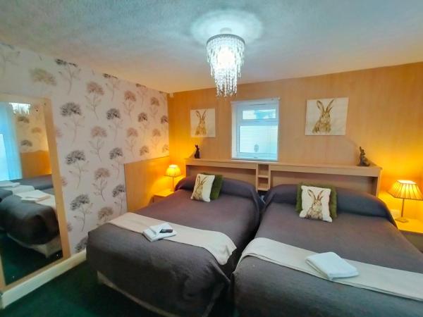 Hotel Babylon : photo 2 de la chambre chambre double avec 2 lits doubles