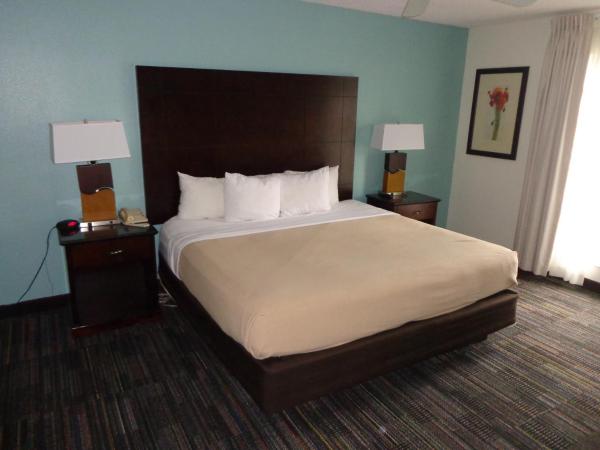 SureStay Plus by Best Western Orlando Lake Buena Vista : photo 7 de la chambre suite 2 chambres avec 1 lit king-size et 2 lits queen-size