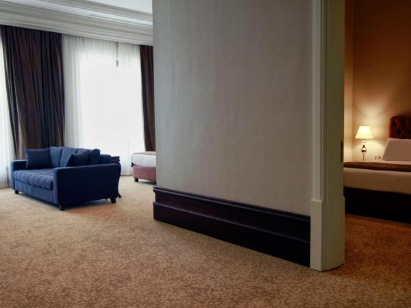 Vialand Palace Hotel : photo 4 de la chambre suite lit king-size