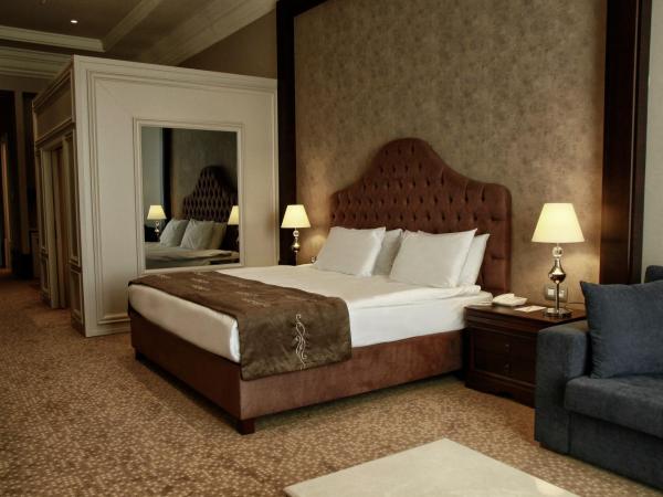 Vialand Palace Hotel : photo 10 de la chambre suite familiale